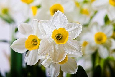 《地球不屈》发布大型更新档 平衡性获得全面优化